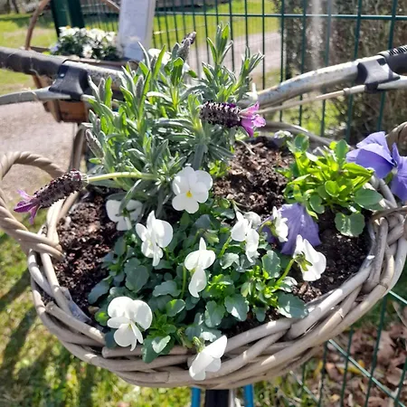 La Resiniere De Pirique